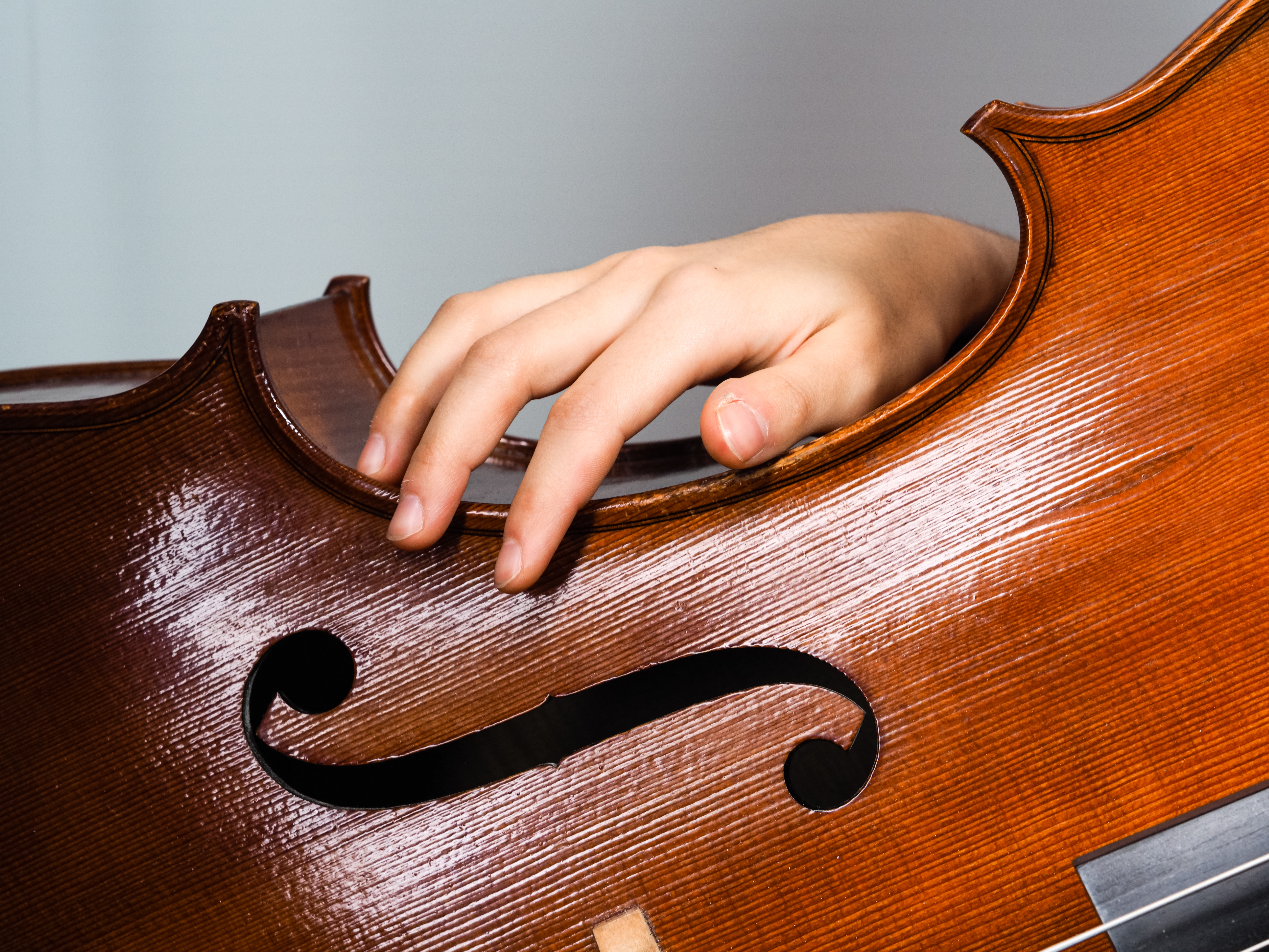 Bratsche mieten in Stuttgart für Schüler und fortgeschrittene Spieler